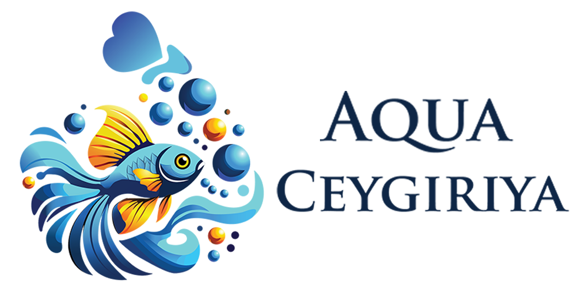 Aqua Ceygiriya Export